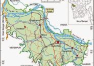 কুষ্টিয়া ভেড়ামারায় মেডিকেল অফিসারসহ আরোও দুইজন করোনায় আক্রান্ত