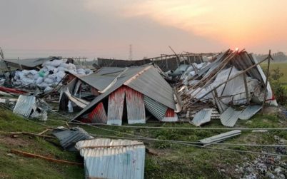 টাঙ্গাইলের কালিহাতীতে কালবৈশাখী ও শিলাবৃষ্টির তান্ডব:  ৪৫০একর জমির ফসল বিনষ্ট