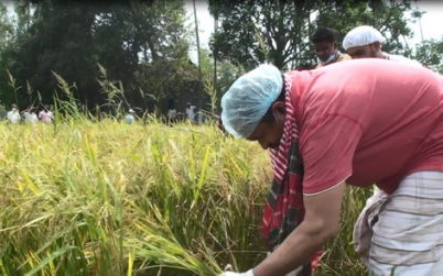 টাঙ্গাইলের সমস্যাগ্রস্ত কৃষকদের ধান কাটায় সহায়তা করলেন সাবেক এমপি আমানুর রহমান খান