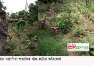 কুষ্টিয়ার ভেড়ামারায় দুর্বৃত্ত কর্তৃক শতাধিক ফলদ ও বনজ গাছ কর্তন; থানায় অভিযোগ