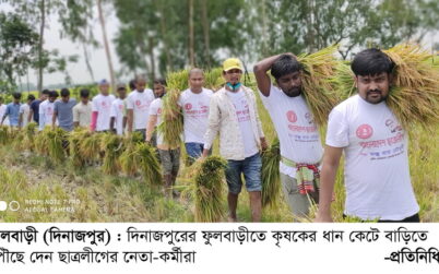 ফুলবাড়ীতে কৃষকের ধান কাটাই-মাড়াই করছে ছাত্রলীগ-যুবলীগ-স্বেচ্ছাসেবকলীগ