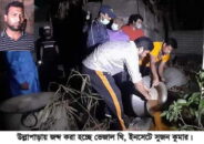 উল্লাপাড়ায় ৪০ মন ভেজাল ঘি জব্দ ॥ এক ব্যবসায়ীকে ৯ মাসের জেল