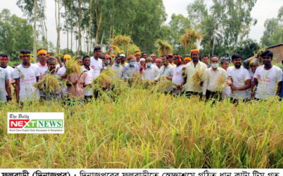 ফুলবাড়ীতে এমপির নির্দেশনায় স্বেচ্ছাশ্রমে কৃষকের ধান কেটেই চলেছে স্বেচ্ছাসেবক টিম