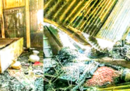 ভূঞাপুরের ফলদা দক্ষিণপাড়ায় ভয়াবহ অগ্নিকাণ্ড