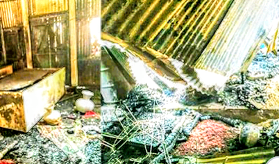 ভূঞাপুরের ফলদা দক্ষিণপাড়ায় ভয়াবহ অগ্নিকাণ্ড