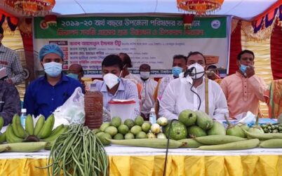 নাগরপুরে নিরাপদ সবজি গ্রামের উদ্বোধন করলেন এম.পি টিটু