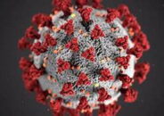 ফুলবাড়ীতে দুইদিনে পাঁচজন করোনা শনাক্ত