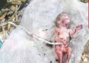 শ্রীমঙ্গলে সিন্দুরখান এলাকায় এক নবজাতক শিশুর লাশ উদ্ধার