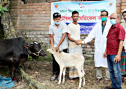 দিনাজপুরে লাম্পি স্কিন ডিজিজ প্রতিরোধে জনসচেতনতামূলক সভা