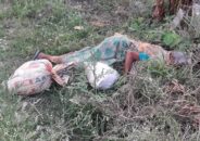 কুষ্টিয়ার ভেড়ামারায় ভিক্ষা করে ফেরার পথে বৃদ্ধা ভিক্ষুকের মৃত্যু