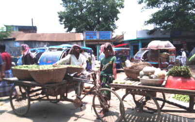 নরসিংদীর সবজির চাহিদায় চাষিদের মুখে হাসি 