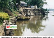 উল্লাপাড়ায় ফুলজোড় নদীতে ব্যাপক ভাঙ্গন বিলীন হয়ে যাচ্ছে বসতবাড়ি ফসলী জমি