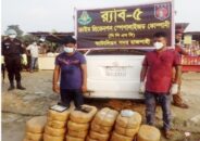 নওগাঁয় ২মণ গাঁজাসহ দুই মাদকব্যবসায়ী আটক