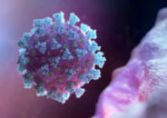 উল্লাপাড়ায় করোনা উপসর্গে আরো ১ ব্যক্তির মৃত্যু