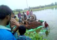 ঠাকুরগাঁওয়ে ট্রলির ধাক্কায় কৃষক নিহত