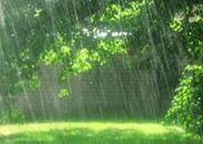 সারাদেশে পাঁচদিন বৃষ্টিপাতের পূর্বাভাস