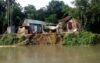 নাগরপুরে তীব্র আকার ধারণ করছে  ধলেশ্বরীর ভাঙ্গন