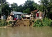 নাগরপুরে তীব্র আকার ধারণ করছে  ধলেশ্বরীর ভাঙ্গন