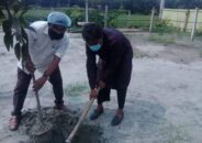 টাঙ্গাইল জেলা স্বেচ্ছাসেবকলীগের বৃক্ষরোপন কর্মসূচি