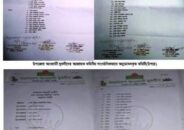 ঘাটাইলের দেওপাড়া ইউনিয়ন যুবলীগের পাল্টাপাল্টি কমিটি