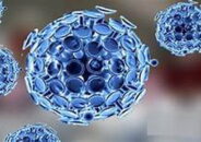 দিনাজপুরে নতুন আরো ৩ জনসহ জেলায় মোট করোনায় আক্রান্ত ২২৭ : সুস্থ ৫২ জন