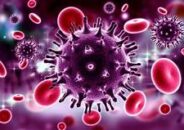 করোনা : দিনাজপুরে নতুন আরো ১৫ জনসহ মোট আক্রান্ত ৪২৭ জন