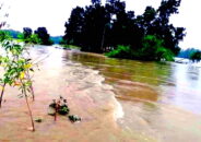 টাঙ্গাইলে পানি উন্নয়ন বোর্ডের গাফিলতিতে বাঁধ ভেঙ্গে লক্ষাধিক মানুষ পানি বন্দি