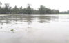 এক রাতেই কালভার্টের সামনে টিনের বাড়ি নির্মাণ’ পানির নিচে তলিয়ে গেছে ২০০ একর ফসলি জমি