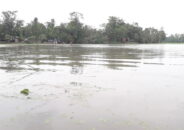 এক রাতেই কালভার্টের সামনে টিনের বাড়ি নির্মাণ’ পানির নিচে তলিয়ে গেছে ২০০ একর ফসলি জমি
