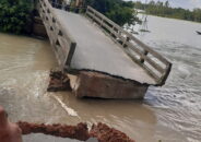 বাসাইলে রাস্তা ও ব্রীজ ভেঙ্গে যাতায়াত বন্ধ