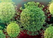 গাইবান্ধায় করোনাকে জয় করে ১১৬ জন সুস্থ, নতুন শনাক্ত ৫, আক্রান্ত বেড়ে ২৭৫