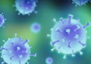 সলংগায় অগ্রণী ব্যাংকের ৮ কর্মকর্তা-কর্মচারী করোনায় আক্রান্ত