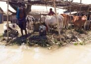 সুন্দরগঞ্জে বন্যার পানি কমতে শুরু করলেও বন্যার্তদের দূর্ভোগ কমেনি