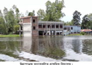 উল্লাপাড়ায় বন্যা পরিস্থির আরো অবনতি