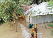 নওগাঁয় সাতটি বাঁধ ভেঙে পানিবন্দী হাজারো মানুষ
