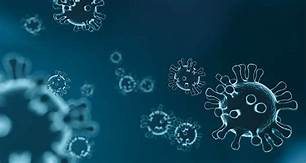 নতুন আরো ৩৭ জনসহ দিনাজপুরে জেলায় করোনায় আক্রান্ত ৬৭৫ জন