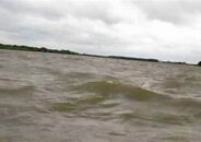 কুষ্টিয়ায় পদ্মা নদীতে নৌকা ডুবি; নিখোঁজ ৪