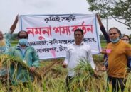 নাগরপুরে আউশের নমুনা শস্য কর্তন