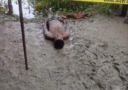 বরিশালের বাকেরগঞ্জ : বাড়ছে লাশের মিছিল