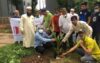 Tree plantation project of Rotary Club of Basundhara