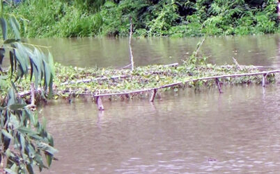 বন্যায় নওগাঁতে ৪ হাজার হেক্টর জমির ফসল তলিয়ে গেছে