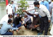 উল্লাপাড়ায় বিলসূর্য নদীর দুইপাড়ে বৃক্ষরোপন কর্মসূচির উদ্বোধন করলেন এমপি তানভীর ইমাম