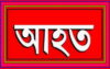 নীলফামারীতে বখাটের দায়ের কোপে এনজিও কর্মী আহত