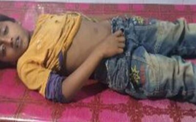 টাঙ্গাইলের সখিপুরে বিষধর সাপের কামড়ে শিশুর মৃত্যু