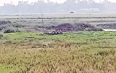 কালিহাতীর কুড়িল বিলে বাংলা ড্রেজার বন্ধের দাবি