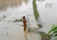 ঘাটাইলে বর্ষার নতুন পানিতে মাছ ধরায় ব্যস্ত শিশুরা