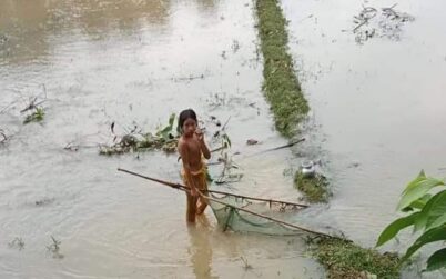 ঘাটাইলে বর্ষার নতুন পানিতে মাছ ধরায় ব্যস্ত শিশুরা