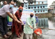 কালিহাতীতে মৎস্য সপ্তাহ উপলক্ষে মাছের পোনা অবমুক্ত করণ