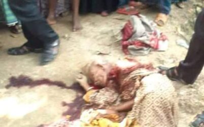 নেশার টাকার জন্য দাদীকে কুপিয়ে হত্যা