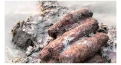 টাঙ্গাইলে উদ্ধারকৃত মর্টার শেল বিস্ফোরণ ঘটিয়েছে সেনাবাহিনী